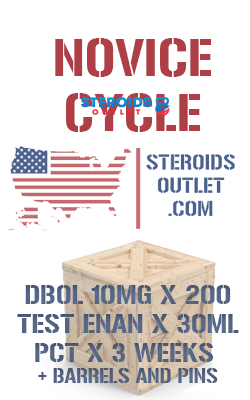 Buy Novice Steroid Cycle